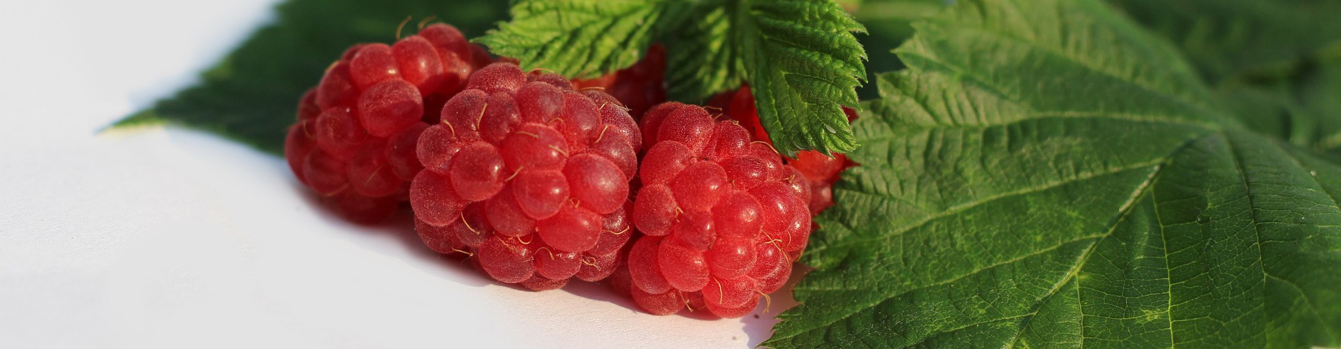 3 raspberries