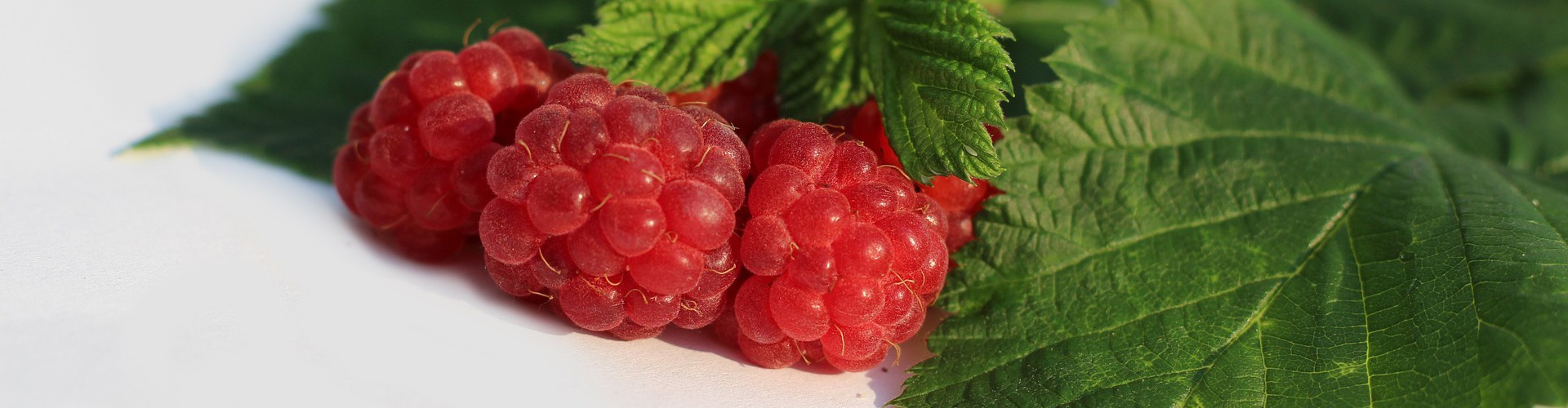 3 raspberries